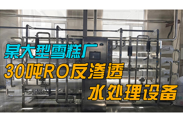 今天為大家展示一套某大型雪糕廠30噸RO反滲透水處理設備