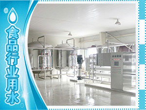 食品廠(chǎng)、水廠(chǎng)生產(chǎn)用水系列